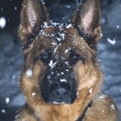 Максат Иманкулов, 08.06.1990, Москва