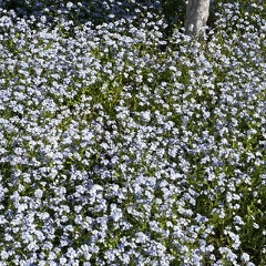 Ирина Зайцева, 25.03.1969, Казань