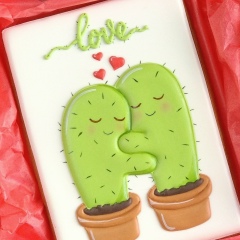 Анна Бачинская, 23.03, Байконур