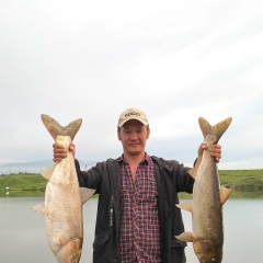 Sultan Urazbaev, 30.01.2000