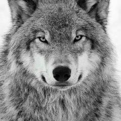 Валерия Кузнецова, 21.03, Санкт-Петербург