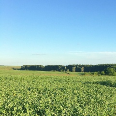 Марат Салахов, 02.10, Казань