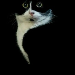 Дмитрий Persianinov, 14.04, Владивосток