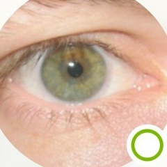 Дмитрий Морозов, 03.05.1982, Минск