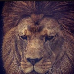 Ахмед Султыгов, 19.02.1990, Москва