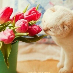 Наталья Федорова, 25.01, Санкт-Петербург