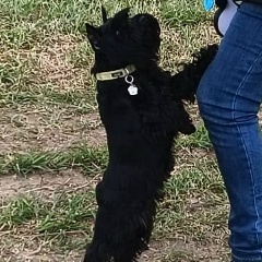 Ольга Астапова, 19.08.1972, Санкт-Петербург