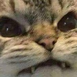 Адам Межиев, 04.09.2000, Санкт-Петербург