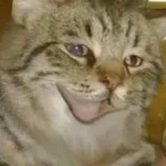 Георгий Коржевский, 05.04.2002, Подгородье