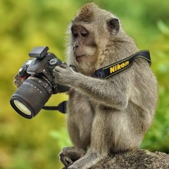 Егор Скрыдлов, 12.02.1905