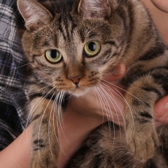 Елена Рубис, 31.01, Владивосток