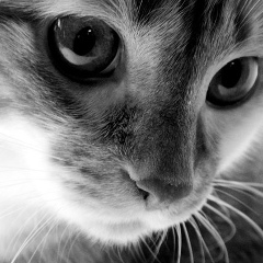 Егор Жуков, 17.02, Чебоксары