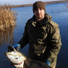 Дмитрий Сергеев, 31.12, Саратов