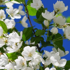 Марина Якунина, 11.04, Курган