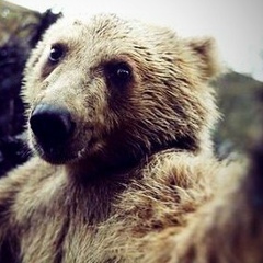 Евгений Суслов, 13.01.1990, Москва