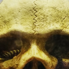 Heru Hermawan, 29.02.1980