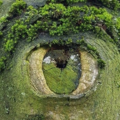 Настя Смоляная, 20.02.1990, Одесса