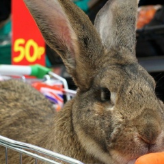 Максим Курбашнов, 12.07, Саратов