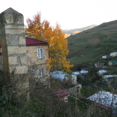 Амина Унаева, Минск