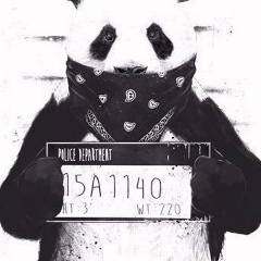 Хасан Гонибов, 29.11, Москва