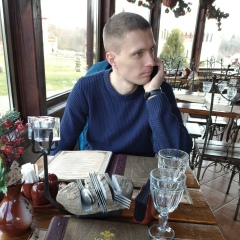 Дмитрий Хомич, Жодино