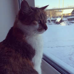 Татьяна Рыжова, Москва