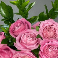 Жанара Жанова, 29.10, Алматы