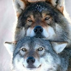 Антон Антонов, 21.03.2007