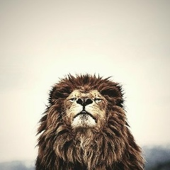 Мурат Русланов, 02.09, Кызылорда