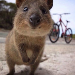 Мария Егорова, 07.09.1988, Санкт-Петербург