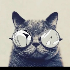 Эммирсон Данбудзо, 03.09.2008, Санкт-Петербург