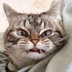 Инесса Ежова, 25.08, Москва