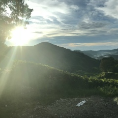 Lin Min, 17.07.1972, Yangon