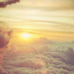 ..... Амалиев, 08.05, Москва