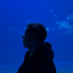 Константин Самутичев, 26.09, Железногорск