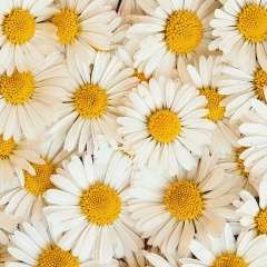 Ммммм Ммммм, 22.04, Москва