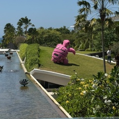 Расул Пакалов, 19.05, Москва