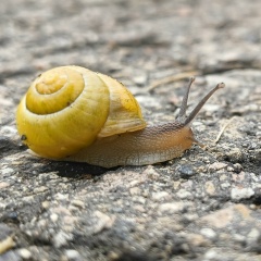 Андрей Федулин, 02.05.1985, Кохтла-Ярве