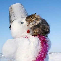 Анюта Белоусова, 26.06, Одесса