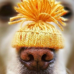 Татьяна Зинченко, 09.12, Екатеринбург