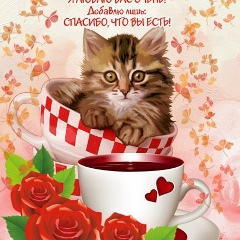 Елена Кисена, 01.12, Москва