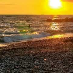 Виталий Максимов, Курганова