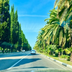 Михалыч Д, 20.04, Сочи