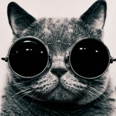 Роман Каргин, 01.04, Казань