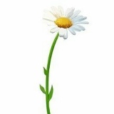 Валя Благинина, Москва