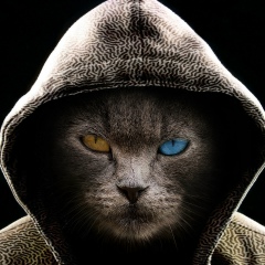 Дмитрий Киселевич