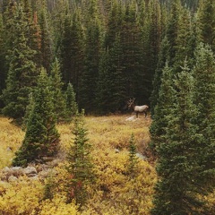 Нургуль Ахметова, 16.12.1974