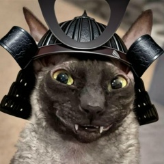 Анастасия Силанова, 07.04.1988, Санкт-Петербург