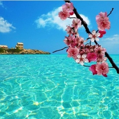 Айгерим Исаева, 09.02.1998, Алматы