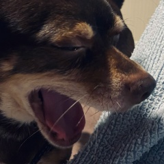 Julli Kovyazina, 29.04, Киров